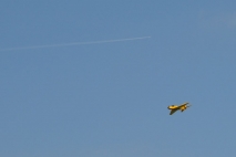 39DSC_0455.jpg