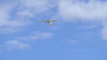 DSCF0906.JPG
